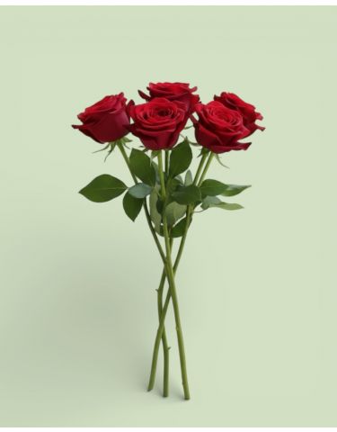 Κόκκινα Τριαντάφυλλα