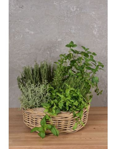 Herbs Basket