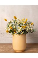 Chamomile Dreams