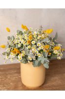 Chamomile Dreams
