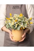 Chamomile Dreams