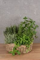 Herbs Basket